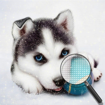 Husky mit einem Ball Diamond Painting