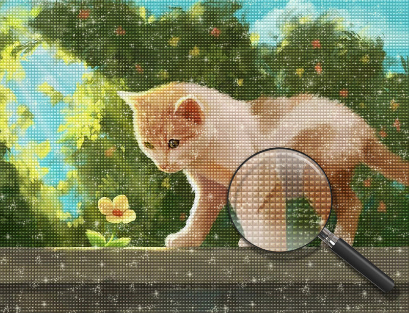 Katze auf der Mauer Diamond Painting