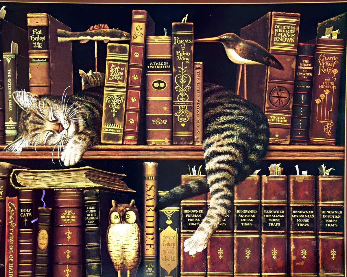Katze auf einem Bücherregal Diamond Painting