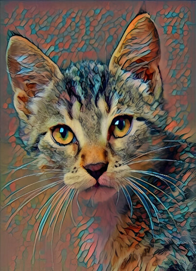 Katze Diamond Painting