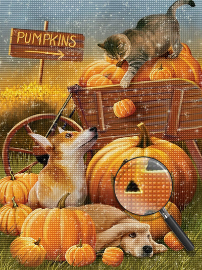 Katze, Hund und Kürbisse Diamond Painting