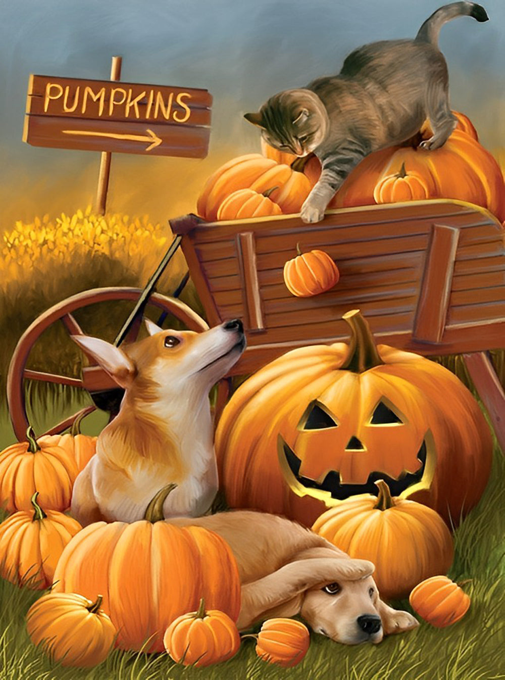Katze, Hund und Kürbisse Diamond Painting