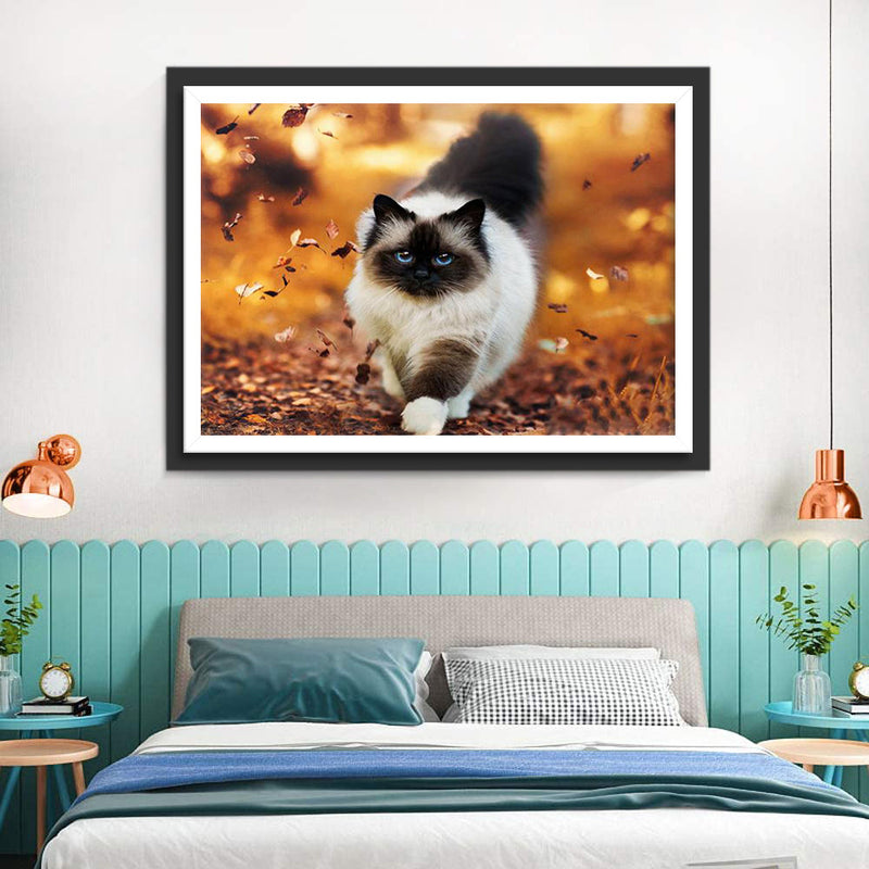 Katze im Herbst Diamond Painting