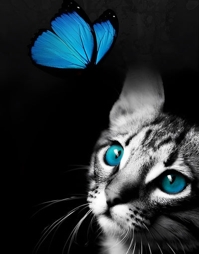 Katze mit blauen Augen und blauer Schmetterling Diamond Painting