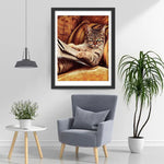 Katze mit Brille auf dem Sofa Diamond Painting
