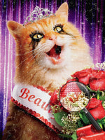 Katze Schönheit Diamond Painting