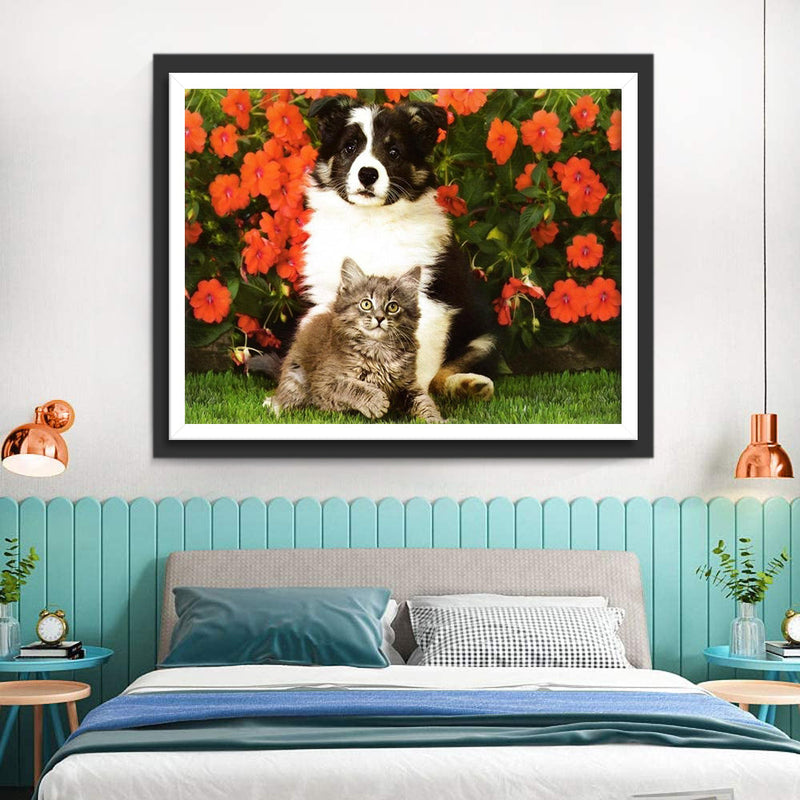 Katze und Border Collie vor roten Blumen Diamond Painting