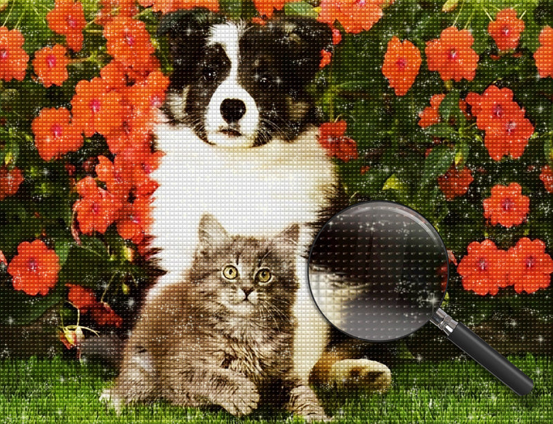 Katze und Border Collie vor roten Blumen Diamond Painting