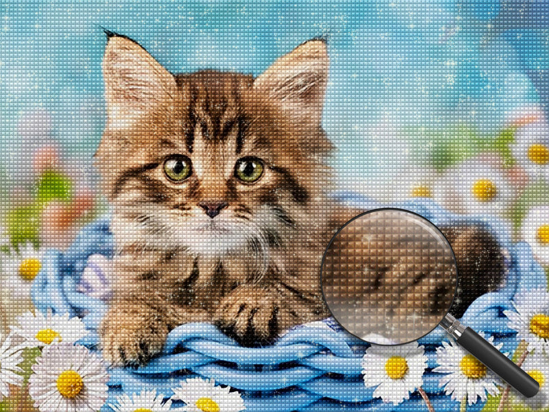 Katze und Gänseblümchen Diamond Painting