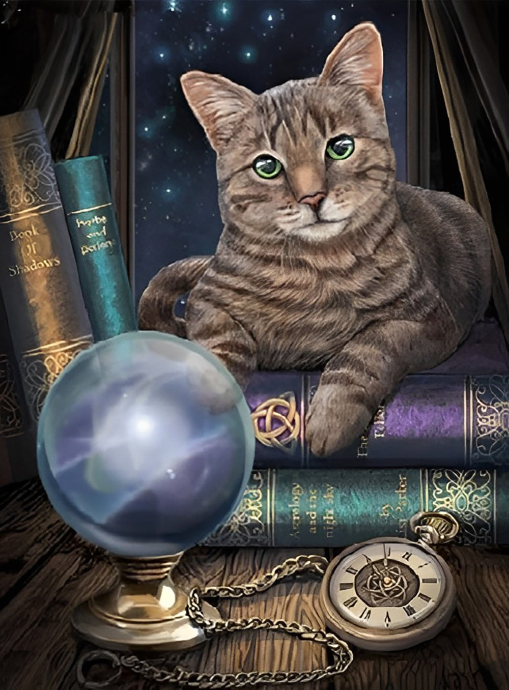 Katze und Globus Diamond Painting