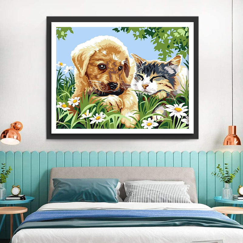 Katze und Hund auf der Wiese Diamond Painting