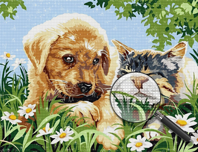 Katze und Hund auf der Wiese Diamond Painting