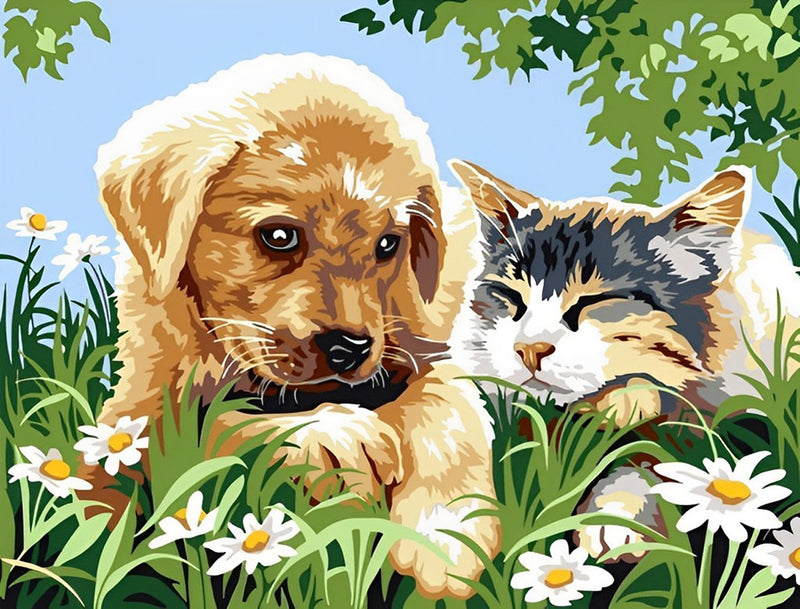 Katze und Hund auf der Wiese Diamond Painting