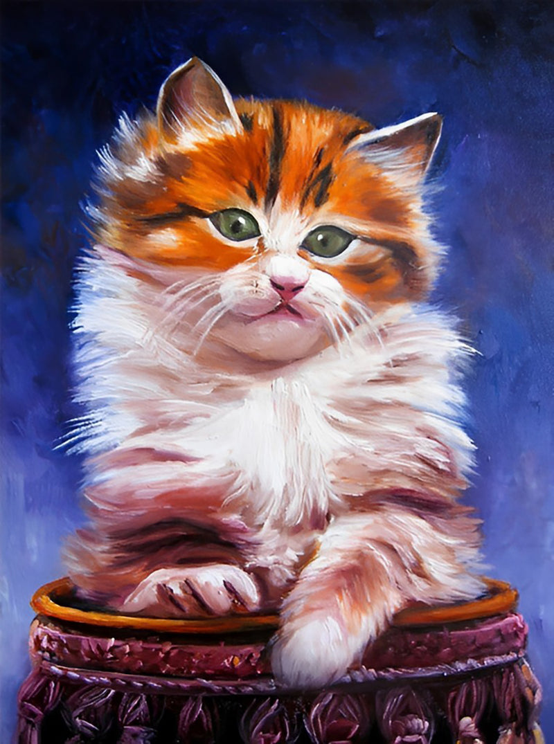 Katze und Trommel Diamond Painting