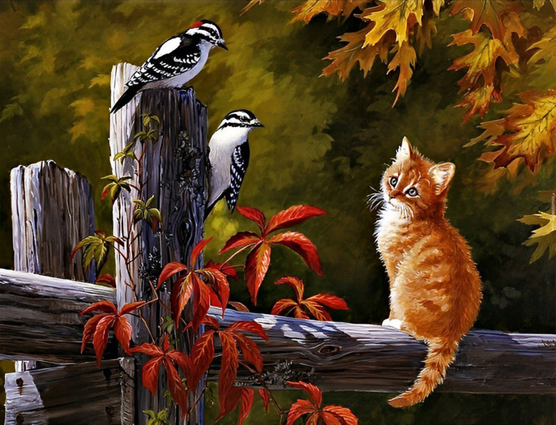 Katze und Vögel Diamond Painting