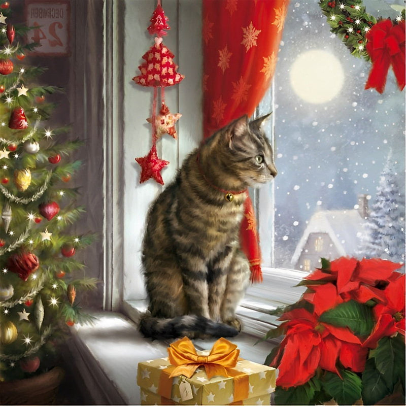 Katze und Weihnachtsgeschenk vor dem Fenster Diamond Painting