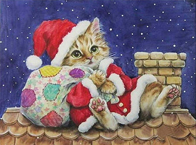 Katze und Weihnachtsgeschenke auf dem Dach Diamond Painting