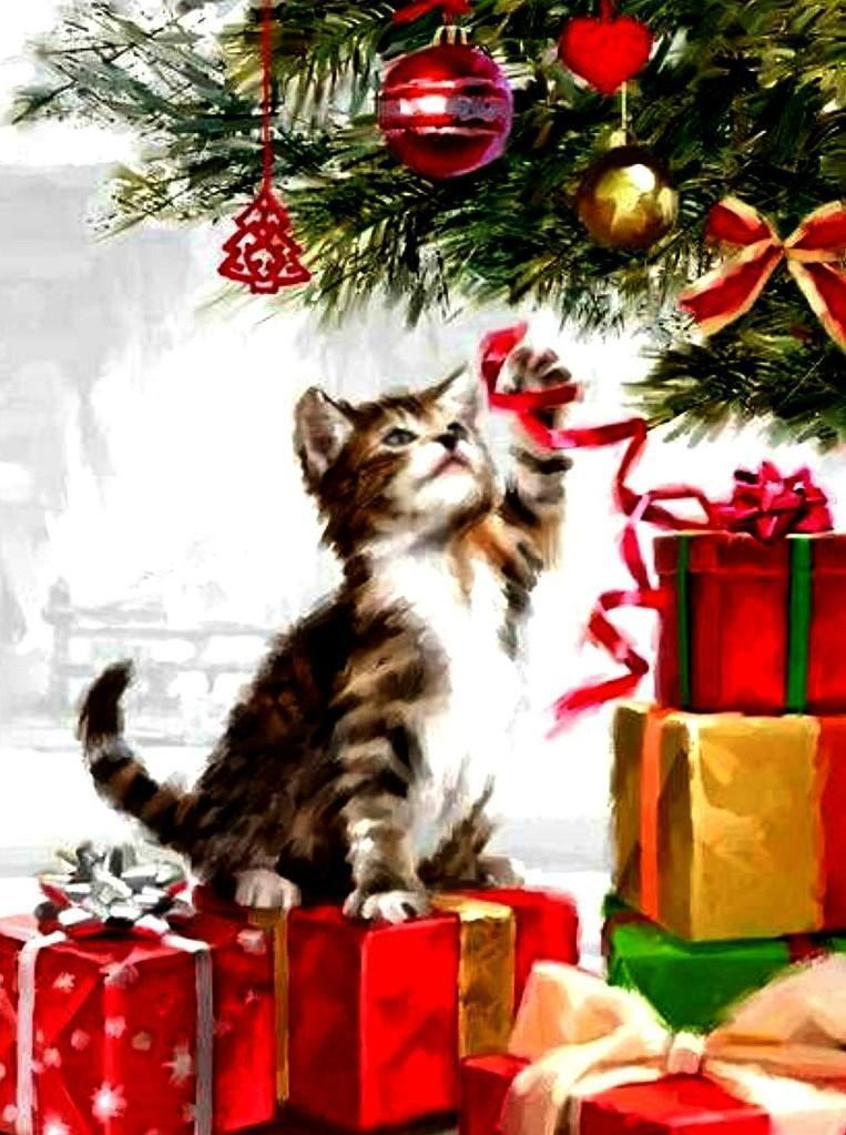 Katze und Weihnachtsgeschenke Diamond Painting