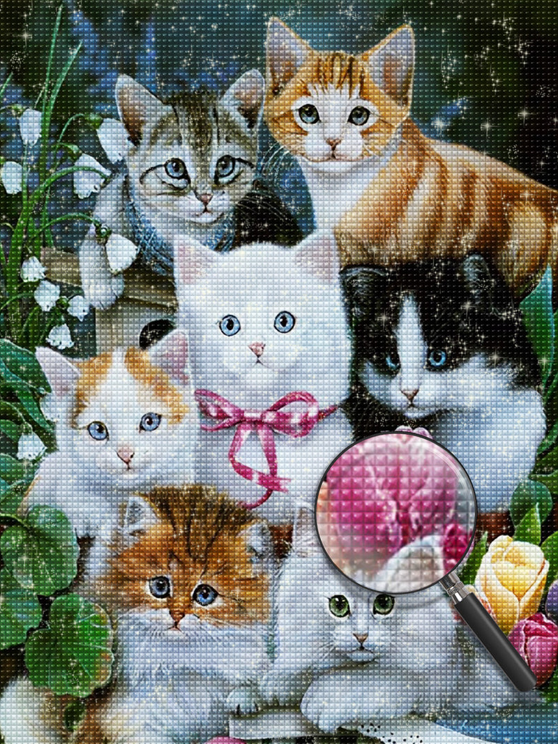 Katzen Diamond Painting