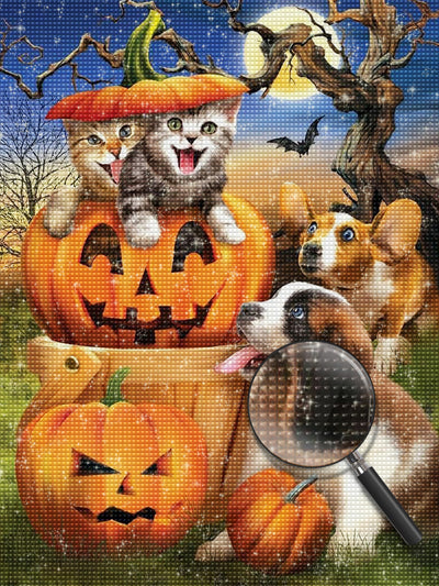 Katzen in der Kürbislaterne Diamond Painting