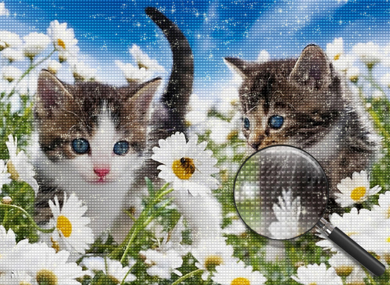 Katzen und Gänseblümchen Diamond Painting