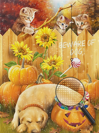 Katzen und Hund an Halloween Diamond Painting