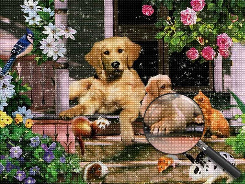 Katzen und Hunde im Garten Diamond Painting