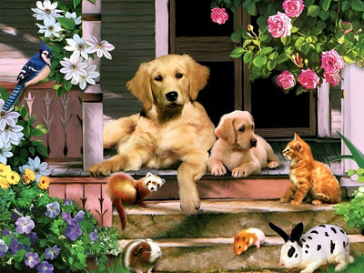 Katzen und Hunde im Garten Diamond Painting