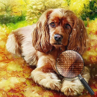 King Charles Spaniel auf dem Boden Diamond Painting