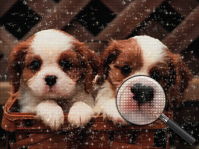 King Charles Spaniel Diamond Painting