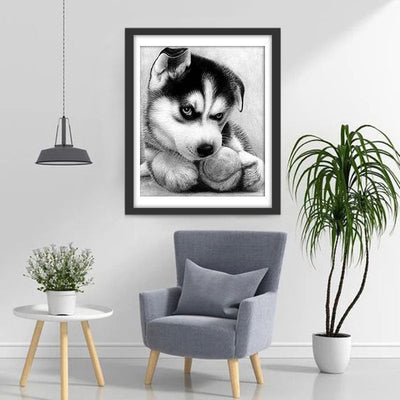 Kleiner Alaska-Hund Diamond Painting