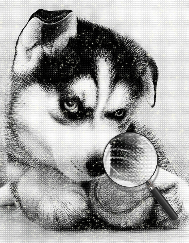 Kleiner Alaska-Hund Diamond Painting