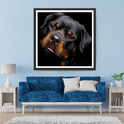 Labrador Diamond Painting