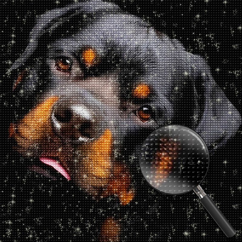 Labrador Diamond Painting