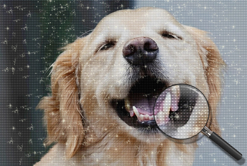 Lächelnder Golden Retriever Diamond Painting