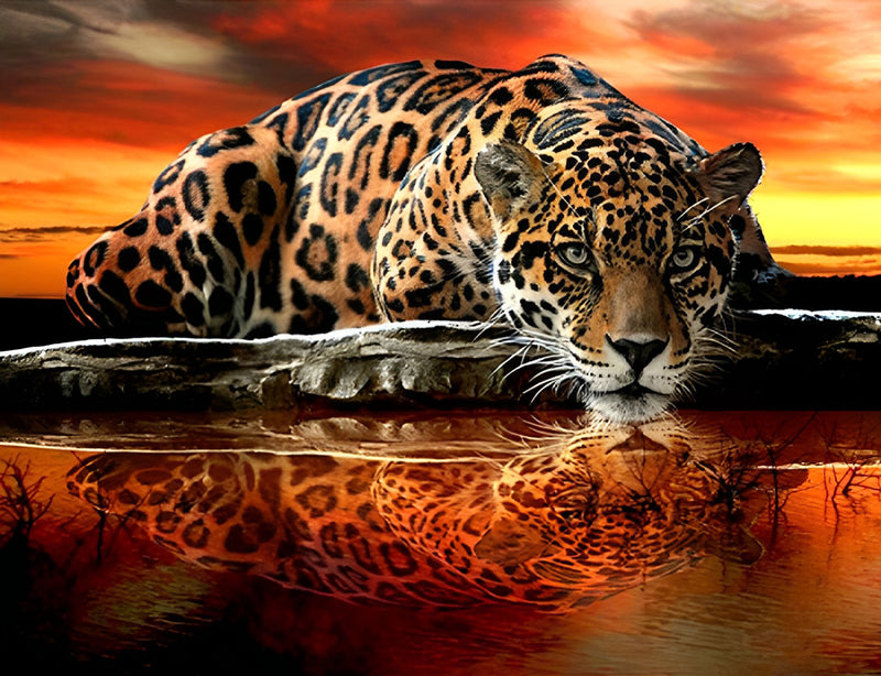 Leopard auf dem Wasser Diamond Painting