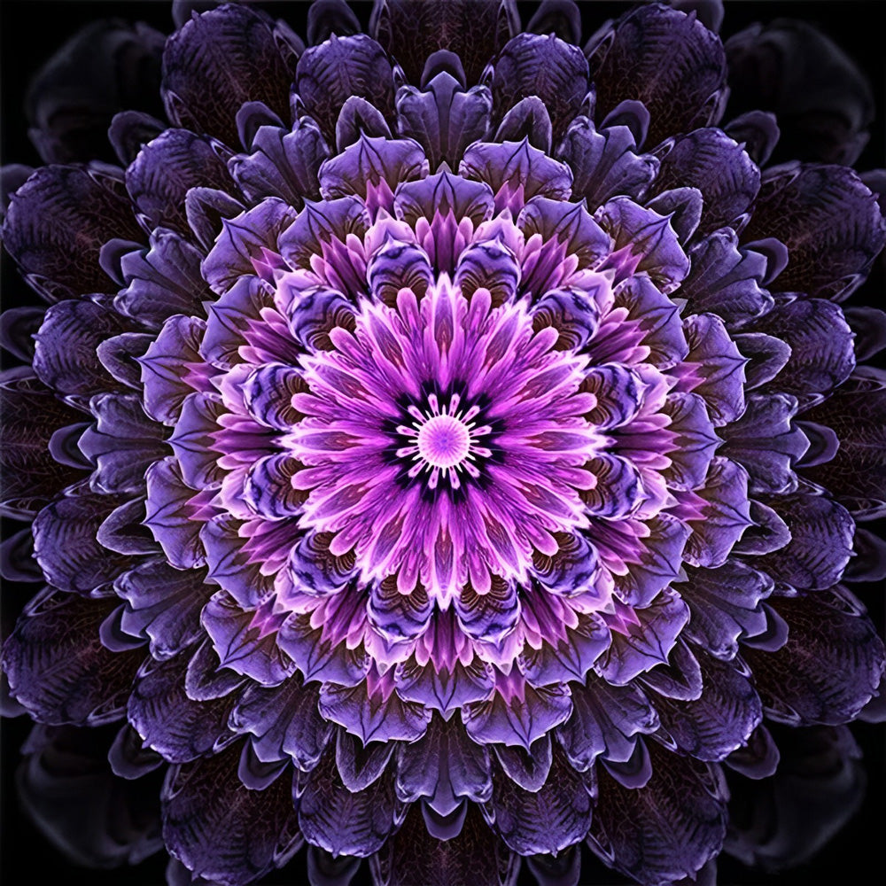 Lila Chrysanthemen Mandala Diamond Painting