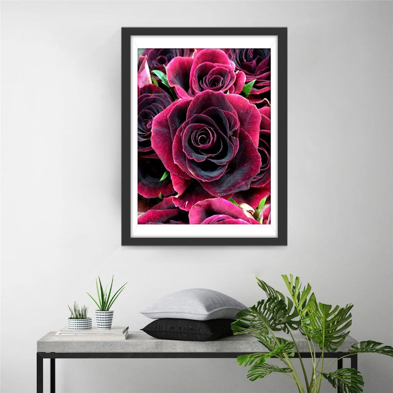 Lila-schwarze Rosen Diamond Painting