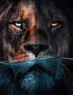 Löwe im Wasser Diamond Painting