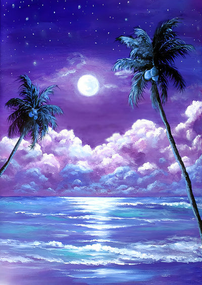 Meer und Kokospalmen in der Nacht Diamond Painting