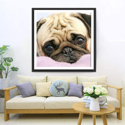 Mops Diamond Painting