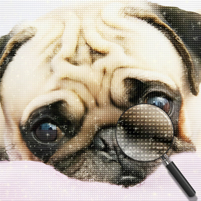 Mops Diamond Painting