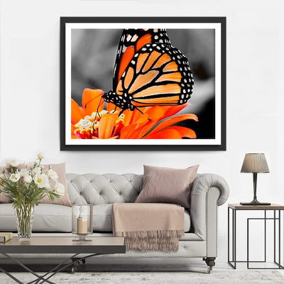 Orange Schmetterling auf der Blume Diamond Painting