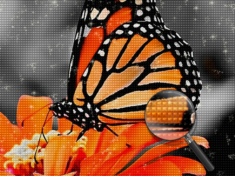 Orange Schmetterling auf der Blume Diamond Painting