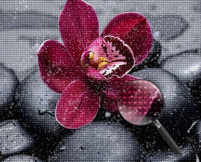 Orchidee und Steine Diamond Painting