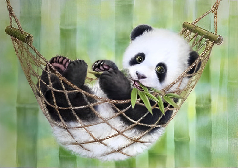 Panda im Schlafnetz Diamond Painting