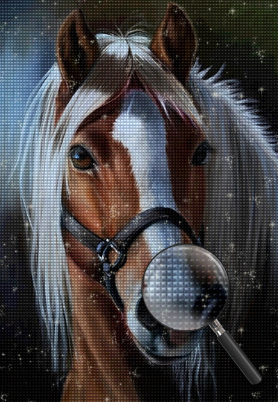 Pferd mit weißer Mähne Diamond Painting