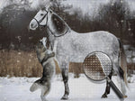 Pferd Wolf Schnee Diamond Painting
