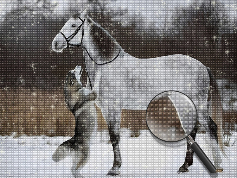 Pferd Wolf Schnee Diamond Painting