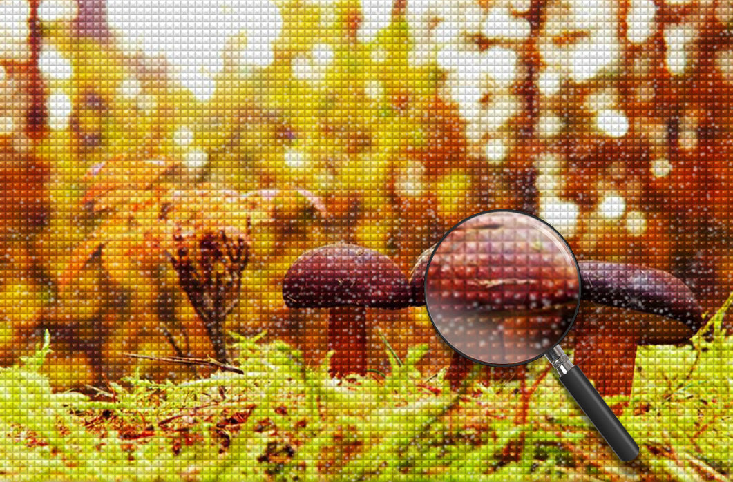 Pilze im Wald Diamond Painting